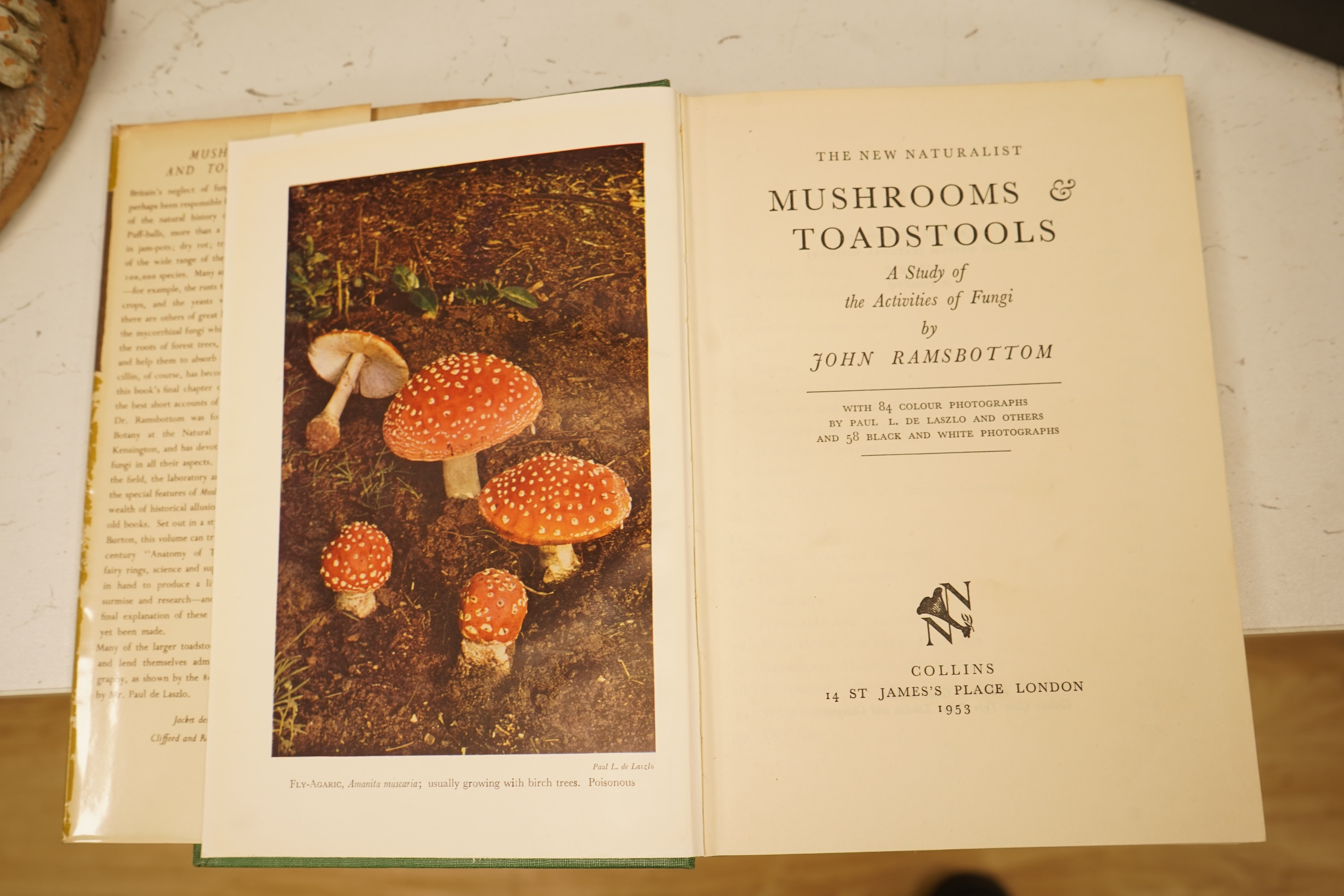 Collins New Naturalist Series - 38 various vols. from no.1 (1945) to no.85 (1999); coloured plates and many other illus., 20 are with d/wrappers